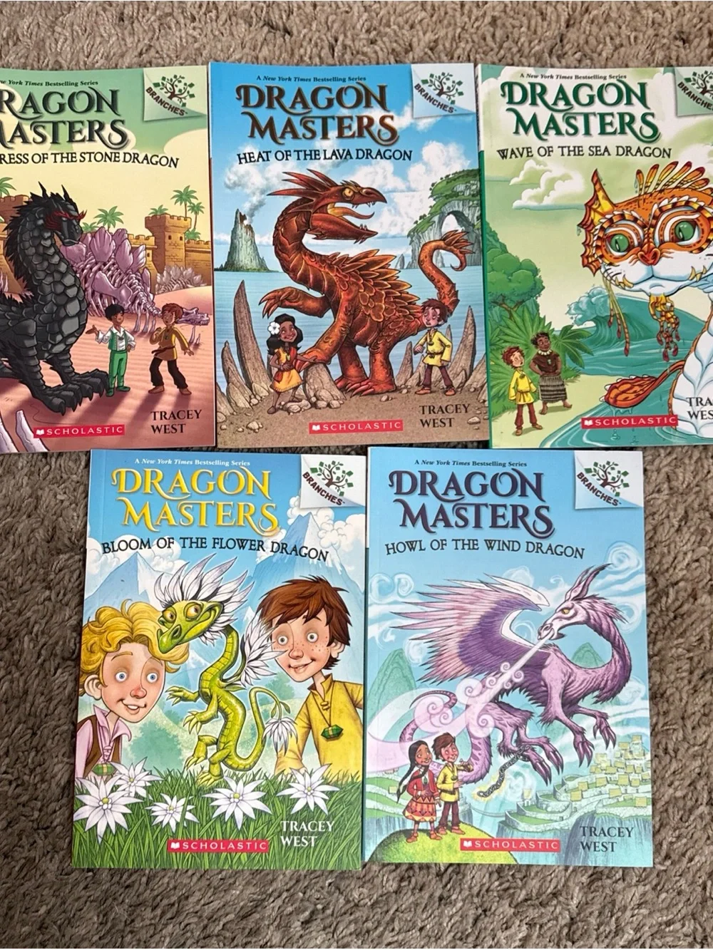 Dragon Masters Book Set: Books 1-21 By Tracy West, Great Condition